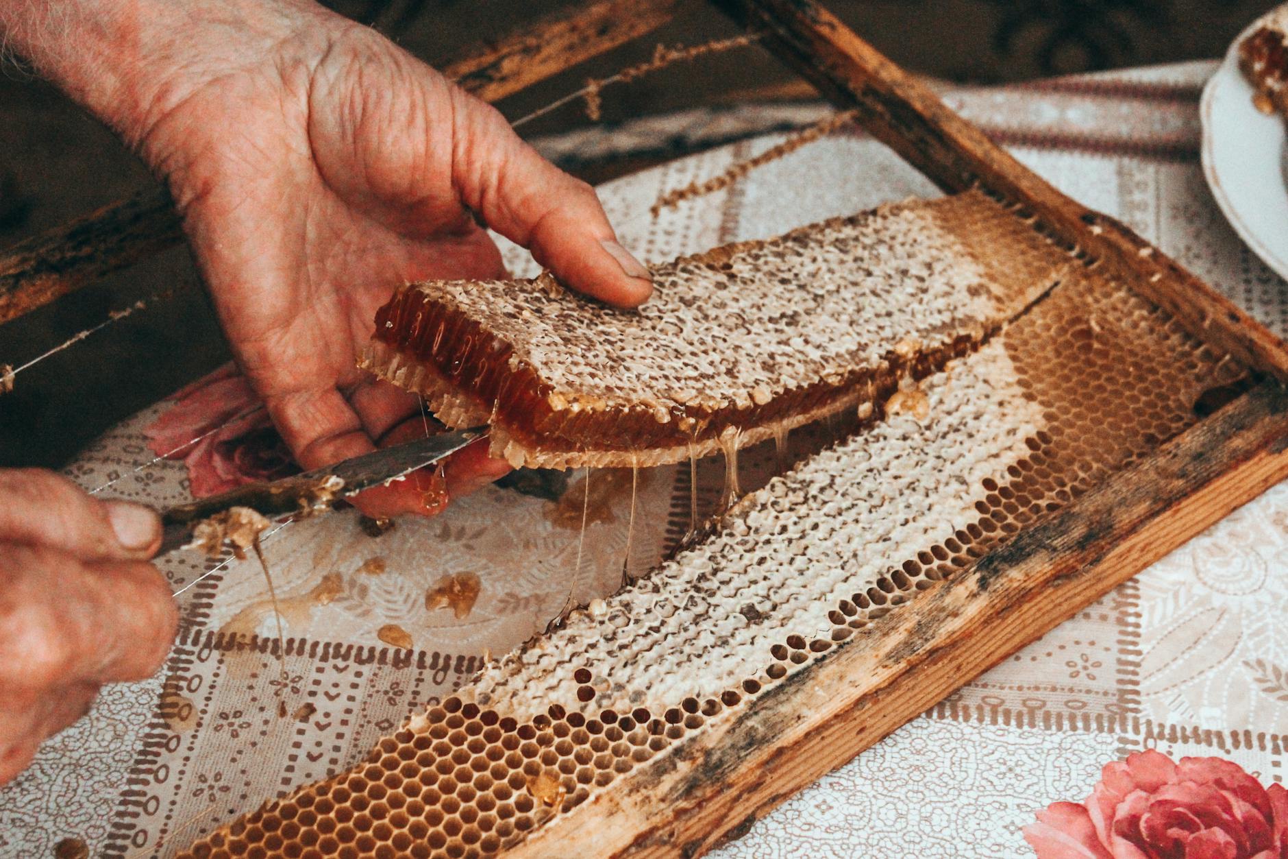 Miel consciente: ¿Cómo disfrutarla sin dañar a las abejas?