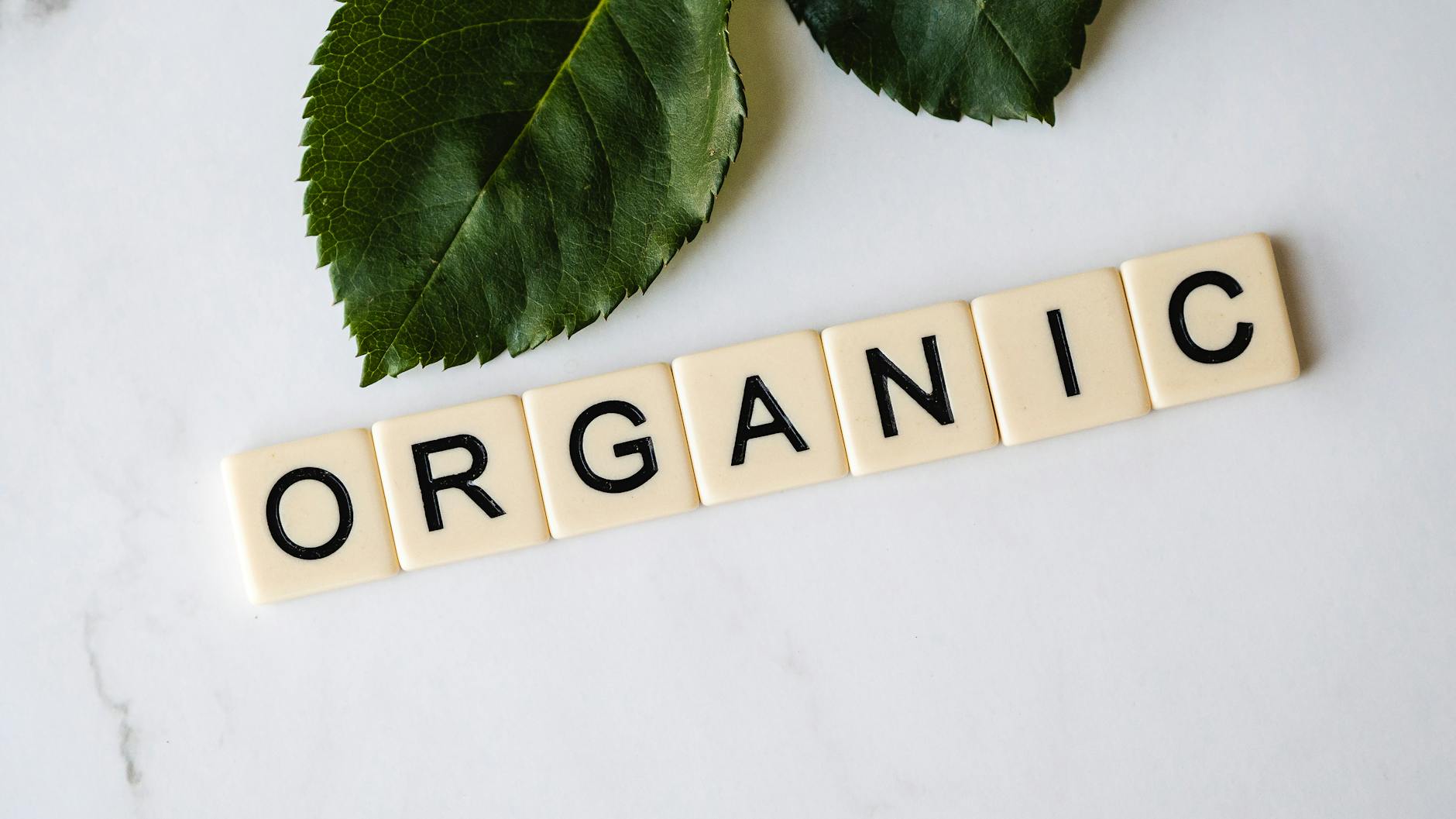 La verdad sobre la miel orgánica: ¿Salud y sostenibilidad o solo marketing?
