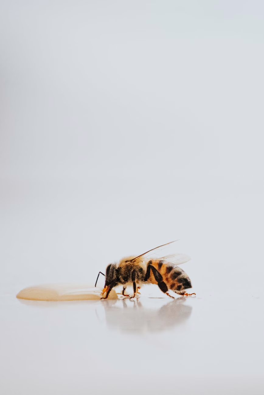La verdad sobre la miel: ¿realmente mueren las abejas al cosecharla?